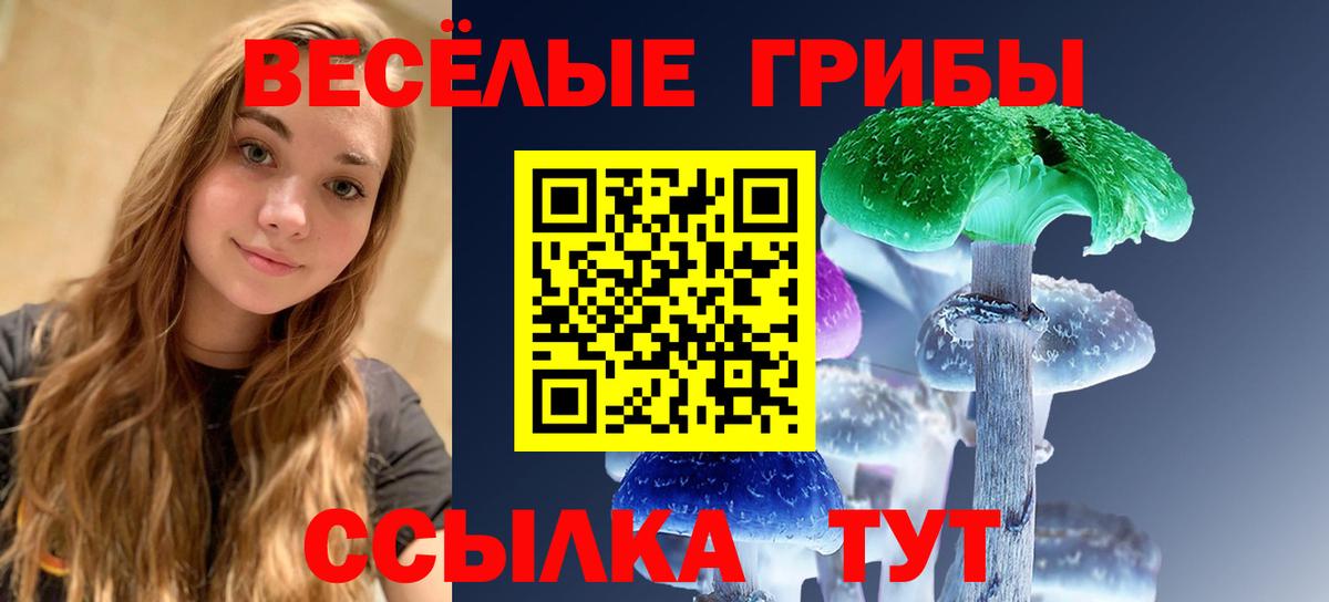 Псилоцибиновые грибы ЛСД Калининград